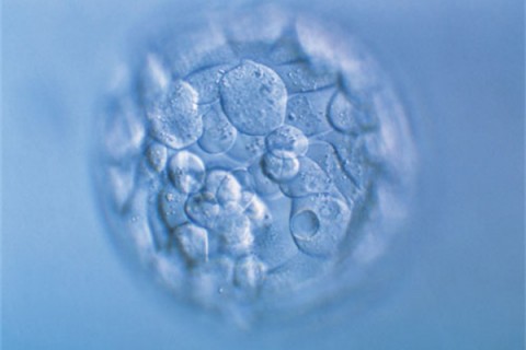 http://shenyang.huochezhan.net/post/200.html|沈阳新闻中心